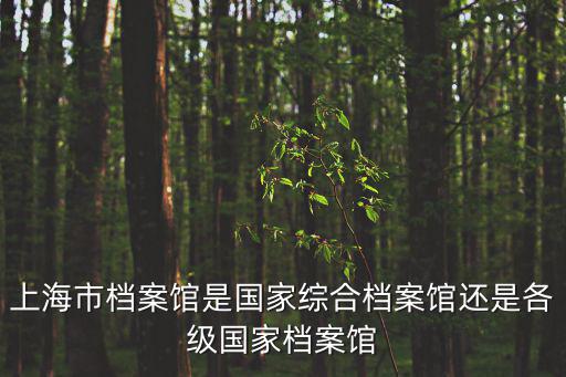 上海市檔案館是國家綜合檔案館還是各級國家檔案館