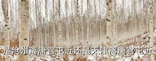 是滄州離唐官屯近還是天津離唐官屯近