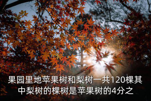 果園里地蘋果樹和梨樹一共120棵其中梨樹的棵樹是蘋果樹的4分之