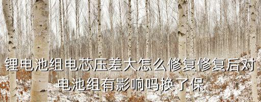 鋰電池組電芯壓差大怎么修復修復后對電池組有影響嗎換了保