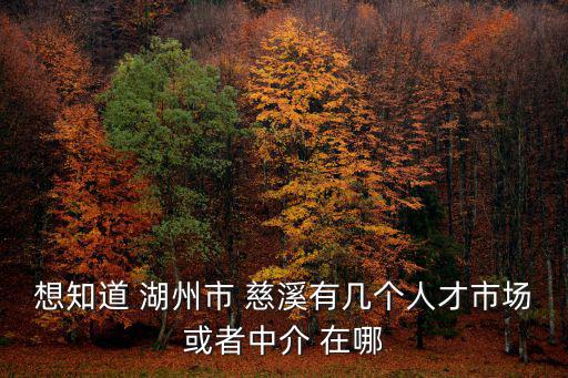 慈溪人才市場，想知道 湖州市 慈溪有幾個人才市場或者中介 在哪