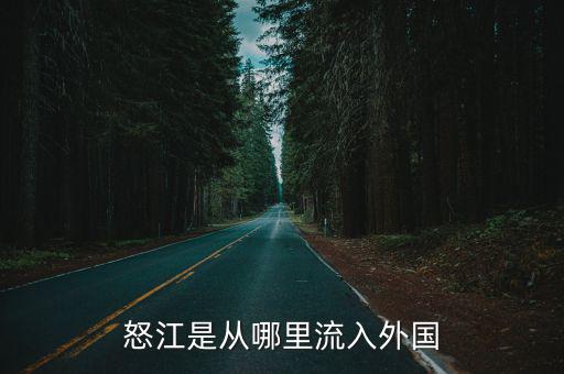 怒江是從哪里流入外國