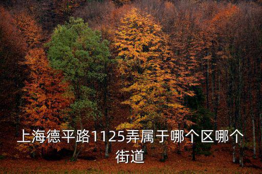 上海德平路1125弄屬于哪個區(qū)哪個街道