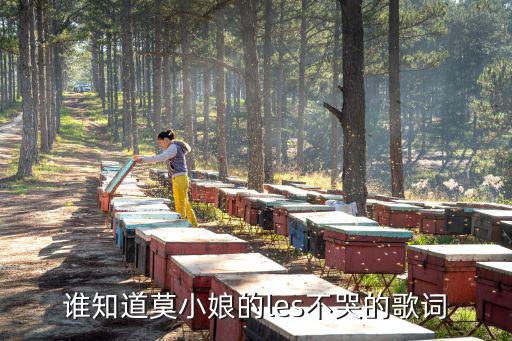 不哭歌詞，誰可以告訴我許慧欣的的歌詞謝謝了