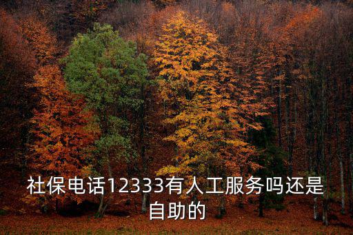 社保人工在線咨詢，社保電話12333有人工服務嗎還是自助的