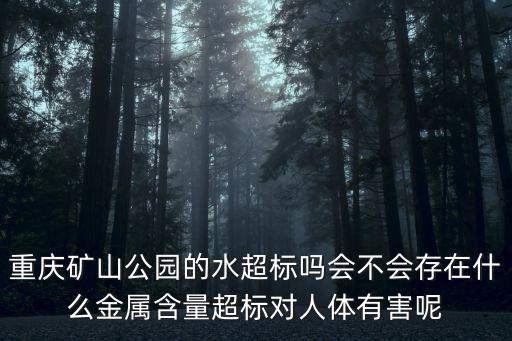 重慶礦山公園，重慶礦山公園的水超標嗎會不會存在什么金屬含量超標對人體有害呢