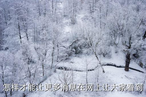 怎樣才能讓更多消息在網上讓大家看到