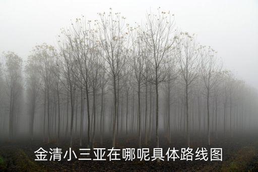 小三亞在哪里，三亞在那里呀