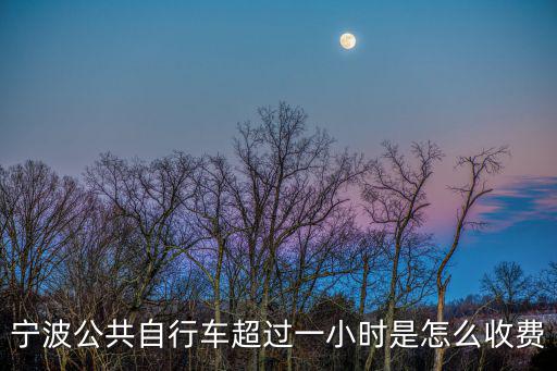 寧波公共自行車超過(guò)一小時(shí)是怎么收費(fèi)