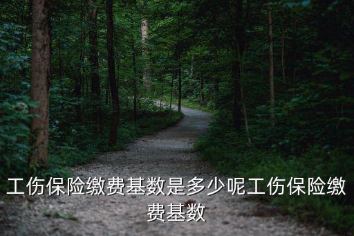 工傷保險繳費基數，工傷保險費的繳費標準是多少