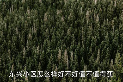 東興小區怎么樣好不好值不值得買