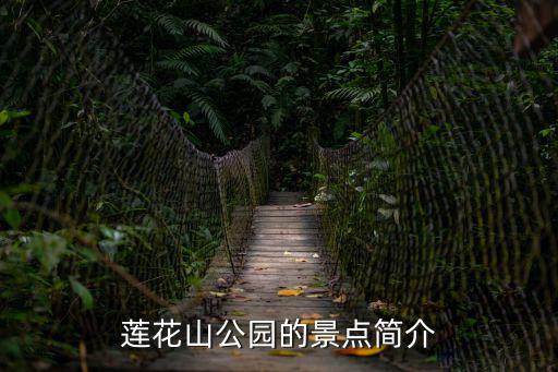 蓮花山公園的景點簡介