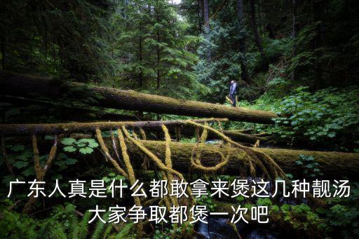 廣東人真是什么都敢拿來(lái)煲這幾種靚湯大家爭(zhēng)取都煲一次吧