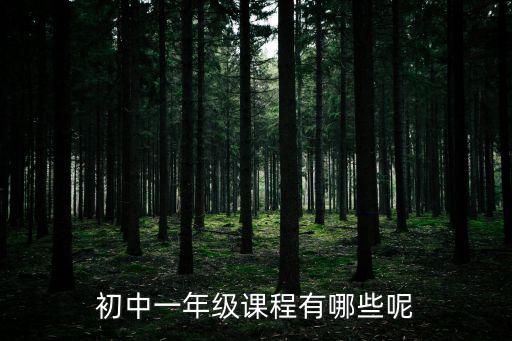 初中一年級課程有哪些呢