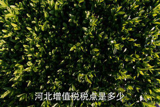 河北增值稅稅點是多少