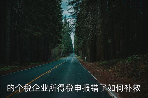 的個稅企業所得稅申報錯了如何補救