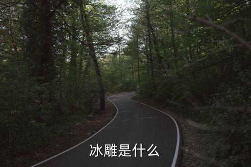 冰雕是什么