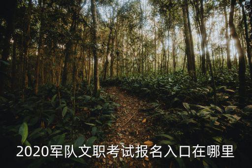 2020軍隊文職考試報名入口在哪里
