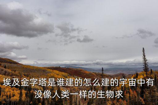 埃及金字塔是誰建的怎么建的宇宙中有沒像人類一樣的生物求