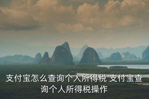 個人所得稅怎么查，支付寶怎么查詢個人所得稅 支付寶查詢個人所得稅操作