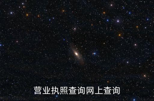營業執照查詢網上查詢