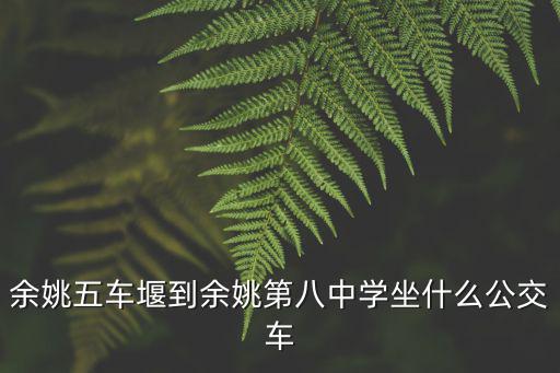 余姚五車堰到余姚第八中學(xué)坐什么公交車