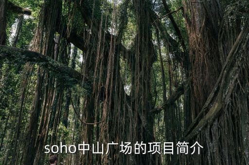 soho中山廣場的項目簡介