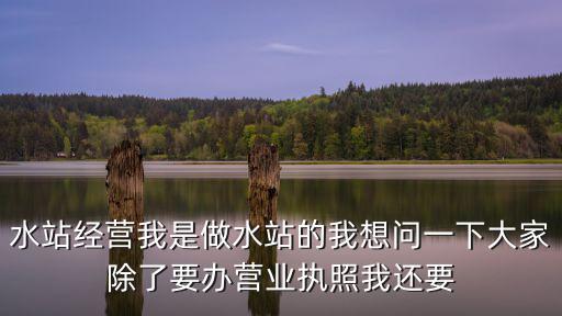 水站，水站經營我是做水站的我想問一下大家除了要辦營業執照我還要