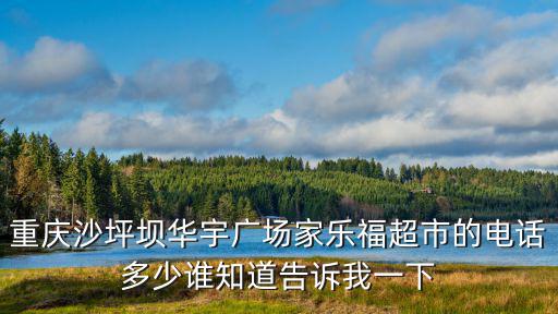 重慶沙坪壩華宇廣場家樂福超市的電話多少誰知道告訴我一下