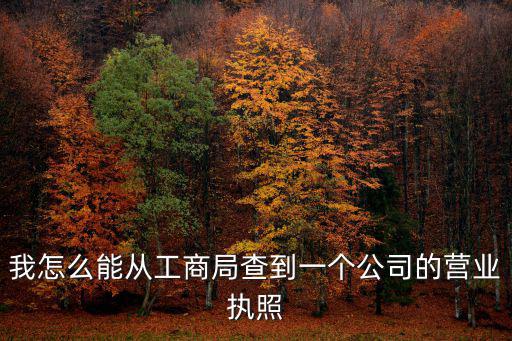 如何查詢營(yíng)業(yè)執(zhí)照，怎樣查看營(yíng)業(yè)執(zhí)照上的工商登記證號(hào)和稅務(wù)登記證號(hào)