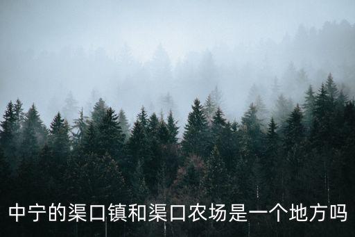 渠口鎮，中寧的渠口鎮和渠口農場是一個地方嗎