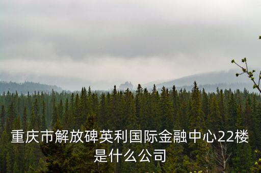 重慶市解放碑英利國際金融中心22樓是什么公司