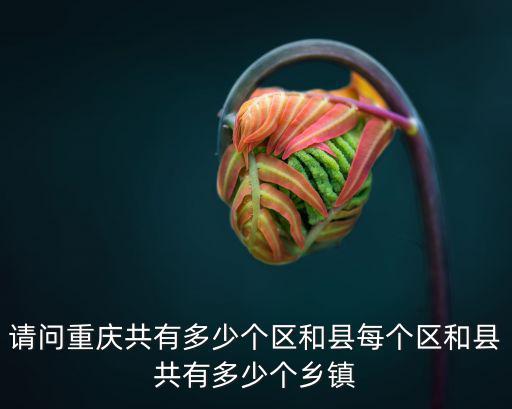 請問重慶共有多少個區和縣每個區和縣共有多少個鄉鎮