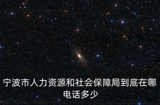 寧波市人力資源和社會保障局到底在哪 電話多少