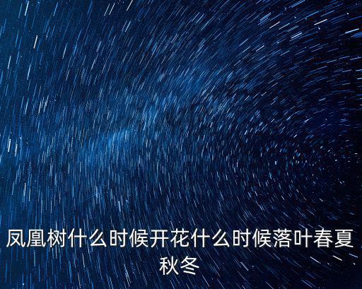 鳳凰樹什么時候開花什么時候落葉春夏秋冬