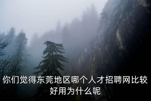 你們覺得東莞地區(qū)哪個人才招聘網比較好用為什么呢