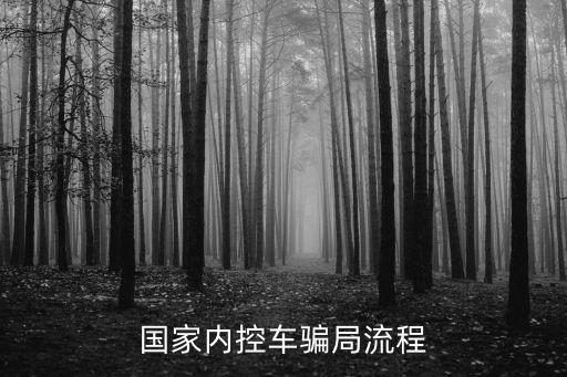 內(nèi)控車，通用汽車什么車型有車內(nèi)監(jiān)控