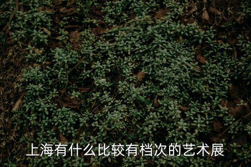 上海有什么比較有檔次的藝術展