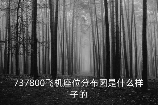 737800飛機座位分布圖是什么樣子的