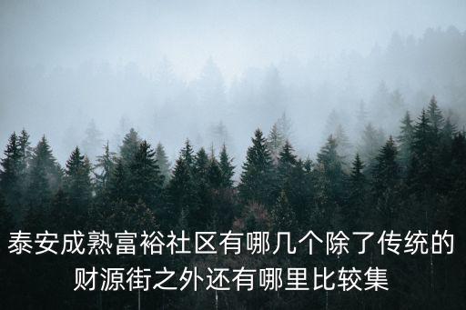 泰安成熟富裕社區有哪幾個除了傳統的財源街之外還有哪里比較集