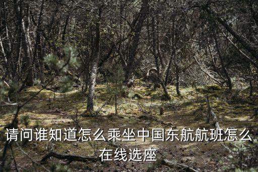 請問誰知道怎么乘坐中國東航航班怎么在線選座