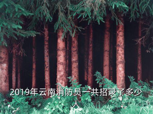 2019年云南消防員一共招錄了多少人