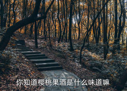 你知道櫻桃果酒是什么味道嘛