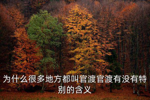 為什么很多地方都叫官渡官渡有沒有特別的含義