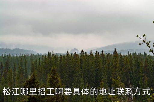 松江招聘，上海松江三星電子廠招工