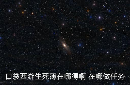 生死薄，口袋西游生死薄在哪得啊 在哪做任務