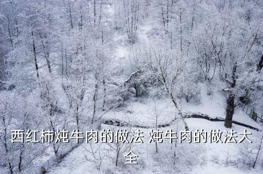 西紅柿燉牛肉的做法 燉牛肉的做法大全