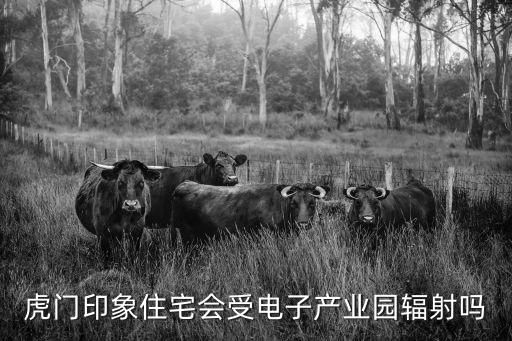 虎門印象住宅會(huì)受電子產(chǎn)業(yè)園輻射嗎