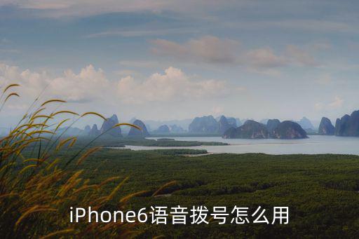 語音撥號，語音撥號怎么使用