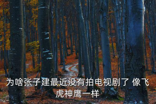 為啥張子建最近沒有拍電視劇了 像飛虎神鷹一樣